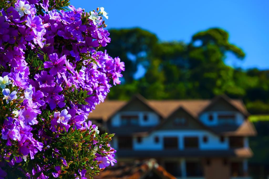 Pousada Dos Pinhos Pedra Azul  Exteriér fotografie